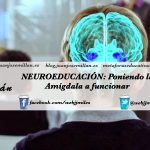 Neuroeducación: Poniendo la amígdala a funcionar.