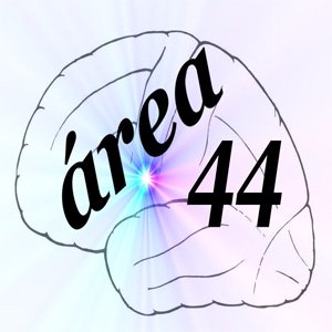 www.area44.es
