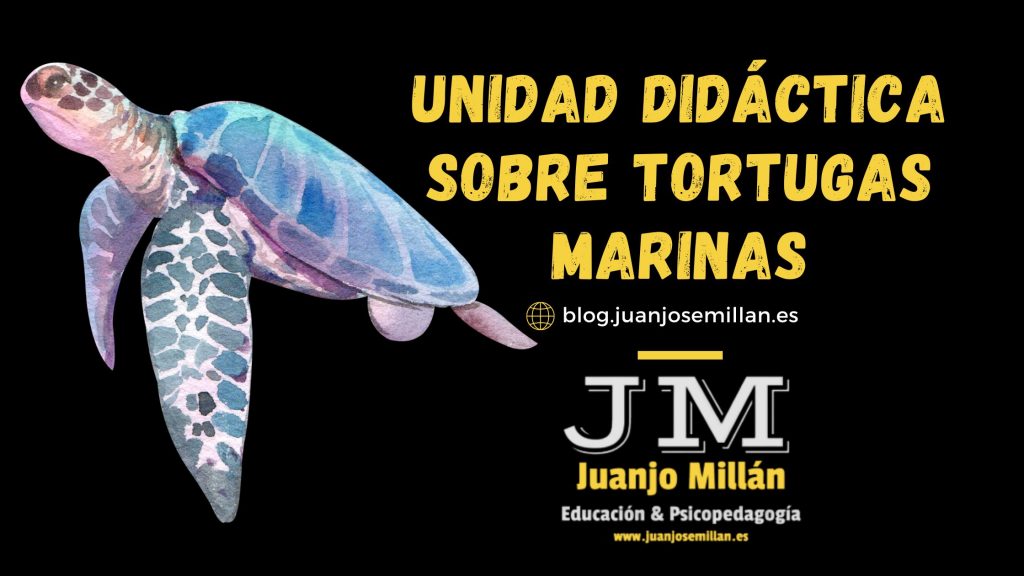 Día internacional de las Tortugas Marinas